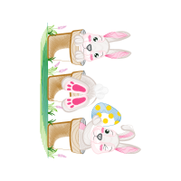 Drawing Animals