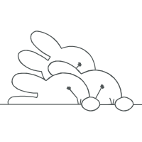 Drawing Animals
