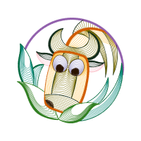 Drawing Animals