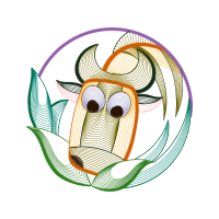 Drawing Animals