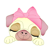 Drawing Animals