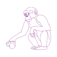 Drawing Animals