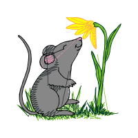 Drawing Animals