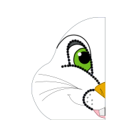 Drawing Animals