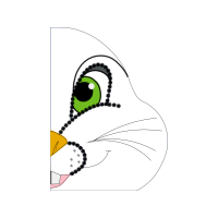 Drawing Animals