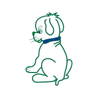 Drawing Animals