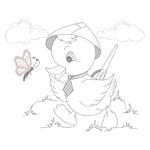 Drawing Animals Drawing Animals