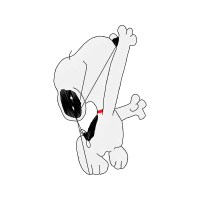 Drawing Animals