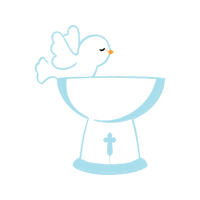 Drawing Animals