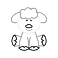 Drawing Animals