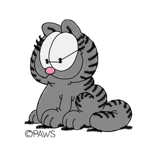 Drawing Animals Drawing Animals