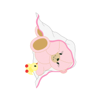 Drawing Animals