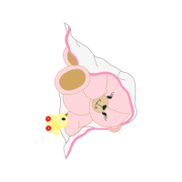 Drawing Animals