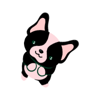 Drawing Animals Drawing Animals