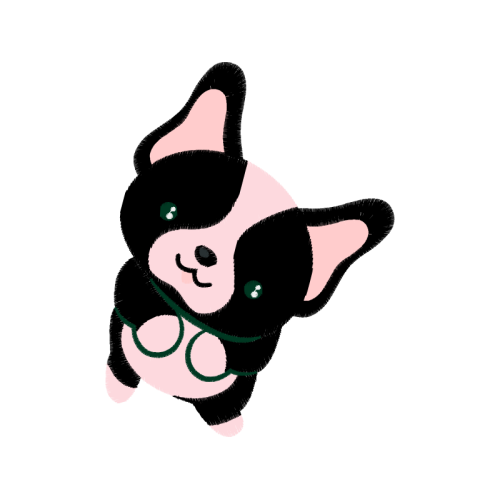 Drawing Animals Drawing Animals