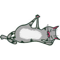 Drawing Animals