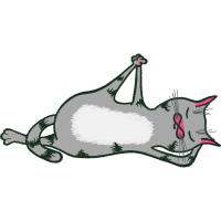 Drawing Animals