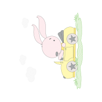 Drawing Animals