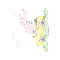 Drawing Animals