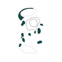 Drawing Animals