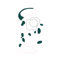 Drawing Animals