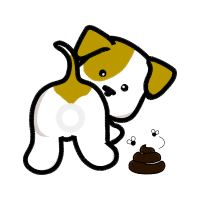 Drawing Animals