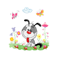 Drawing Animals Drawing Animals