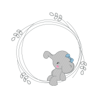 Drawing Animals