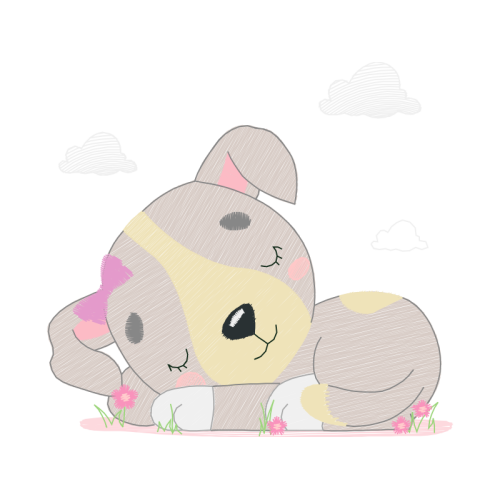 Drawing Animals Drawing Animals