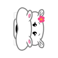 Drawing Animals