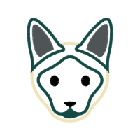 Drawing Animals