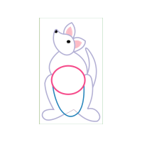 Drawing Animals