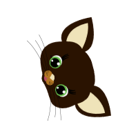 Drawing Animals Drawing Animals