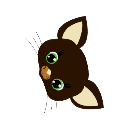 Drawing Animals Drawing Animals