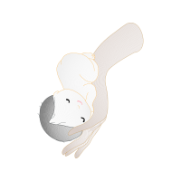 Drawing Animals