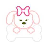 Drawing Animals Drawing Animals