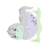 Drawing Animals