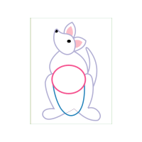 Drawing Animals