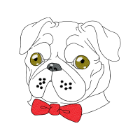 Drawing Animals Drawing Animals