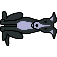 Drawing Animals