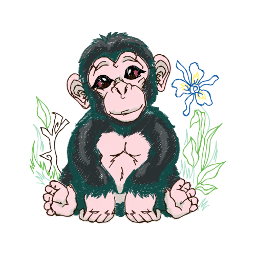 Drawing Animals Drawing Animals