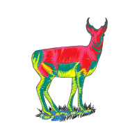 Elk Animals