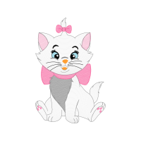 European Shorthair Animals