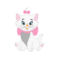 European Shorthair Animals