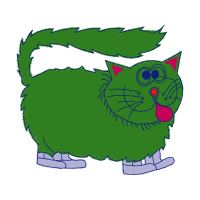 European Shorthair Animals European Shorthair Animals