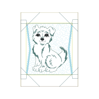 European Shorthair Animals