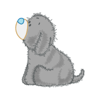 Ferret Animals Ferret Animals