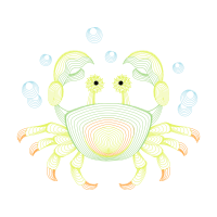 Fiddler Crab Animals