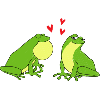 Frogs Animals
