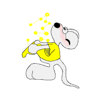 Graphic Animals